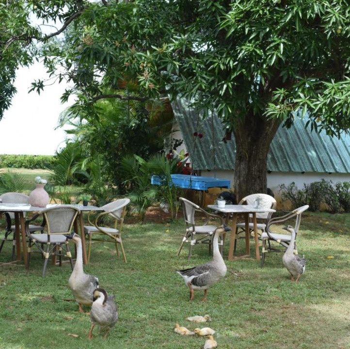 Photo of Others in Las Galeras