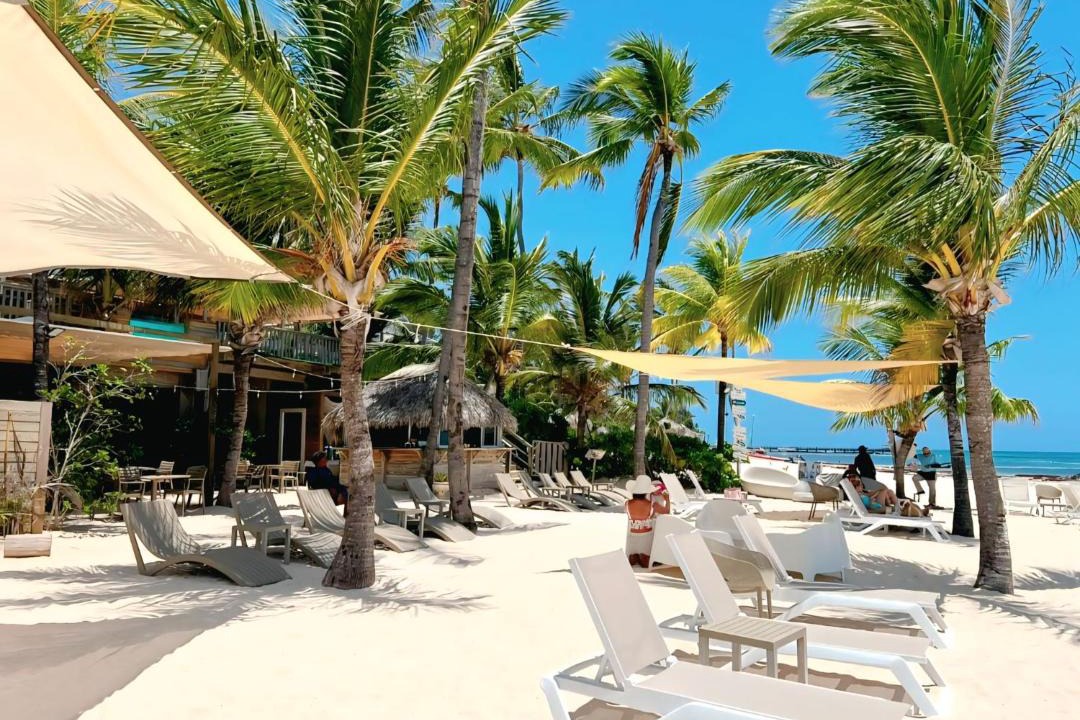 Photo of Others in Bavaro