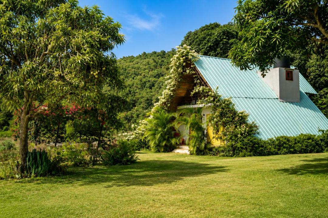 Photo of Others in Las Galeras