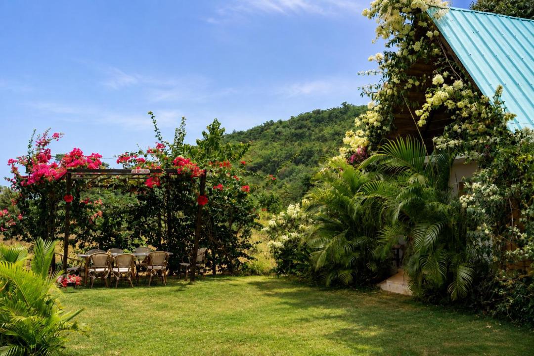Photo of Others in Las Galeras