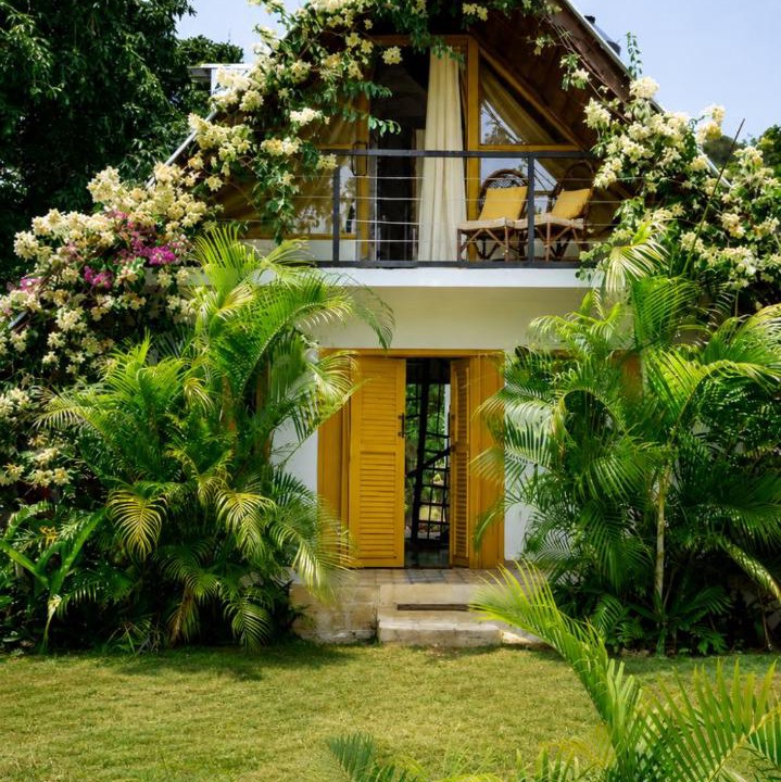 Photo of Others in Las Galeras