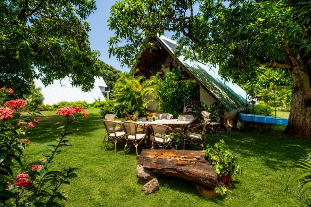 Photo of Others in Las Galeras