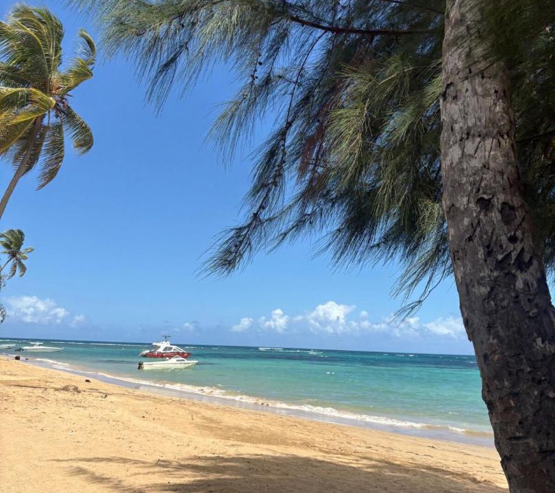 Photo of Others in Las Terrenas