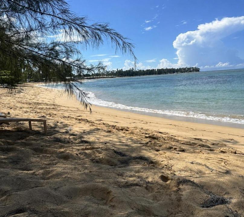 Photo of Others in Las Terrenas