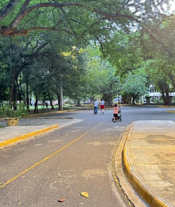 Photo of Others in Ciudad Universitaria