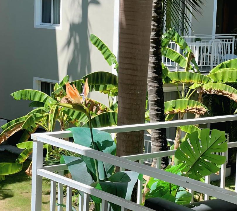 Photo of Others in Bavaro