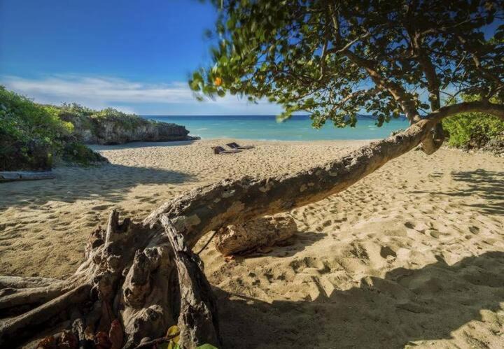 Photo of Others in Playa Chiquita
