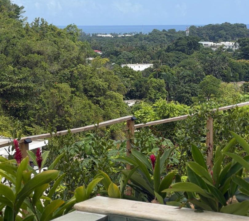 Photo of Others in Las Terrenas