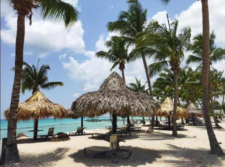 Photo of Others in Dominicus