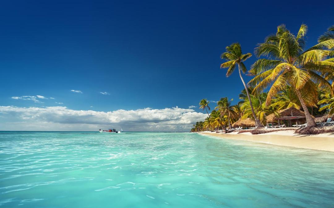 Photo of Others in Bavaro
