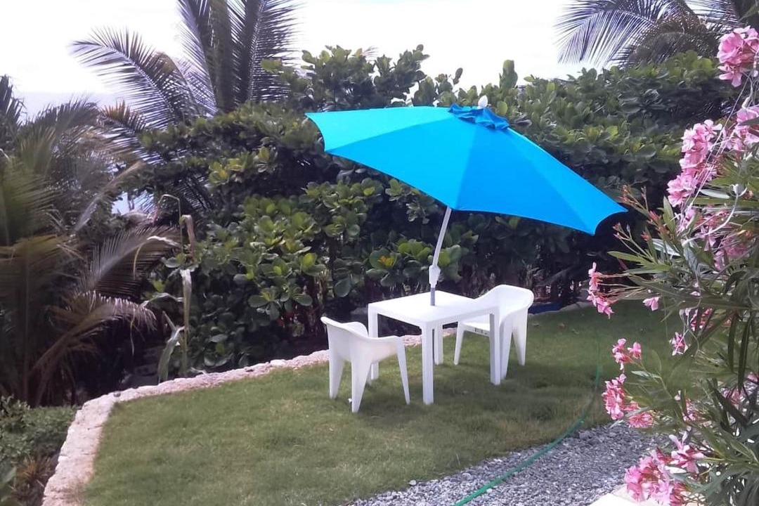 Photo of Others in La Cienaga