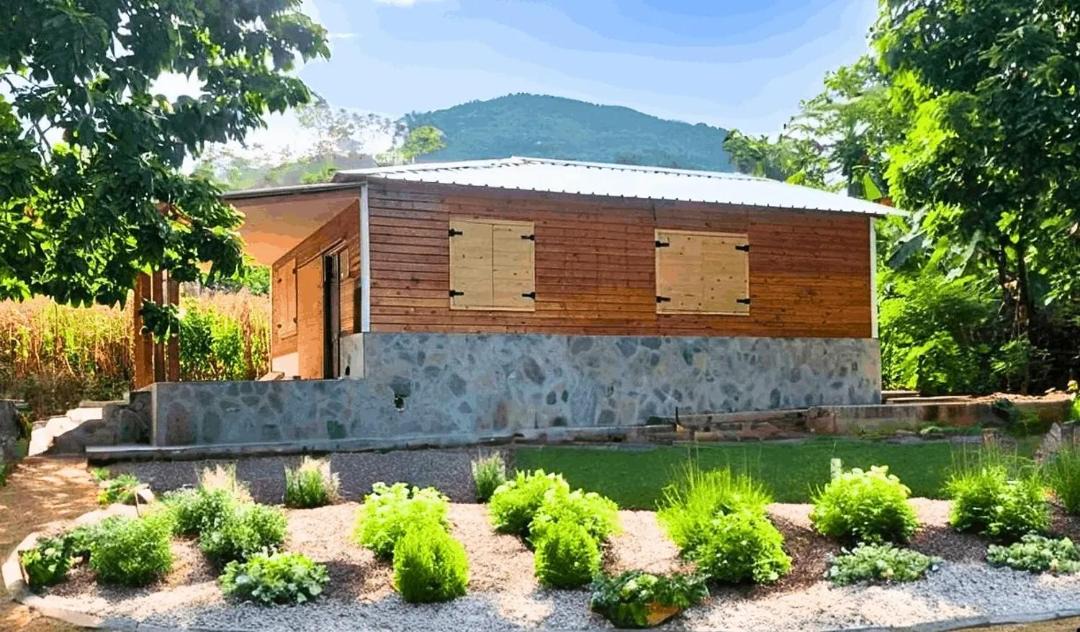 Photo of Others in Las Galeras