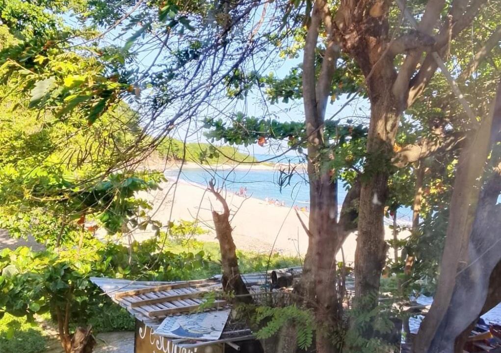 Photo of Others in La Cienaga