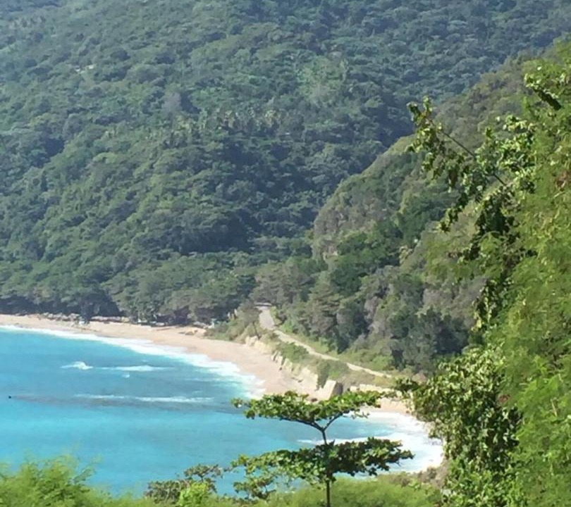 Photo of Others in La Cienaga