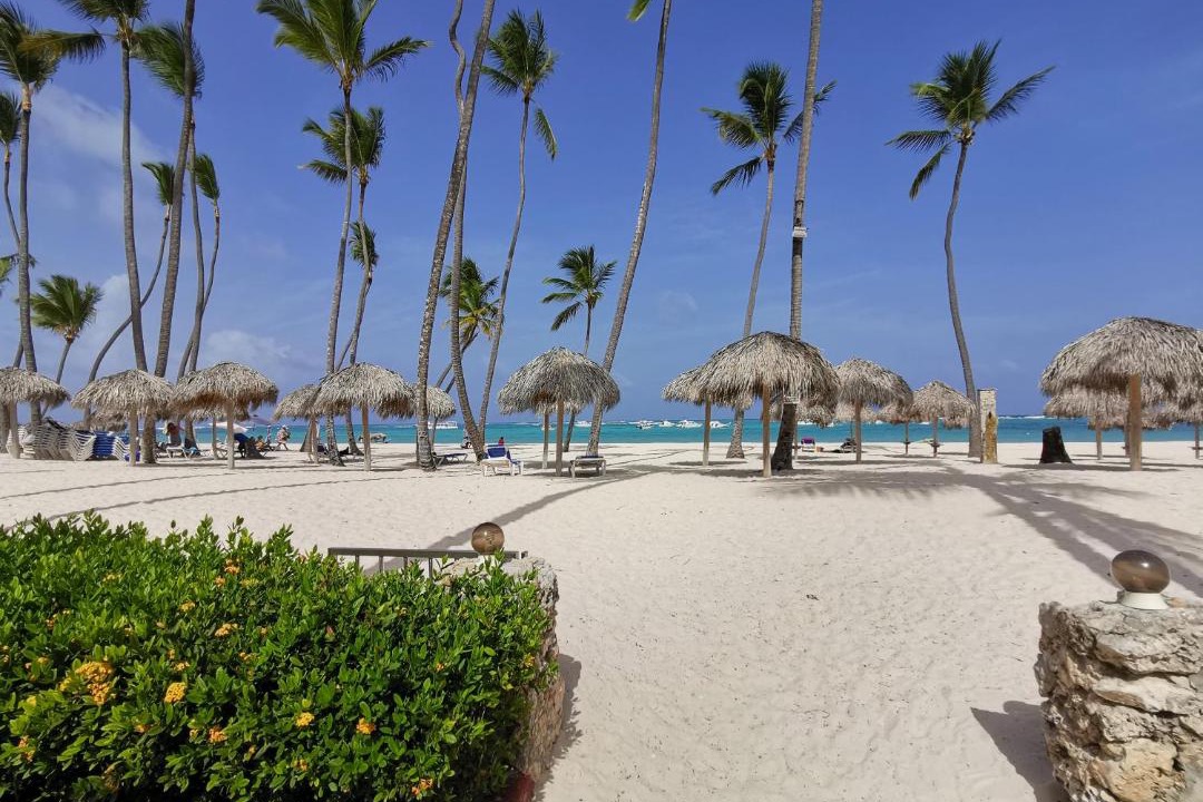 Photo of Others in Bavaro
