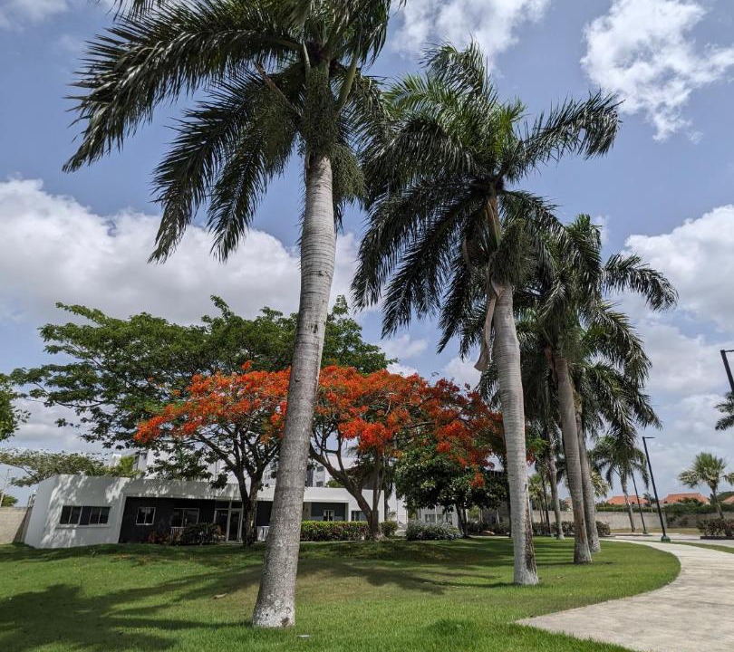 Photo of Others in Higuey