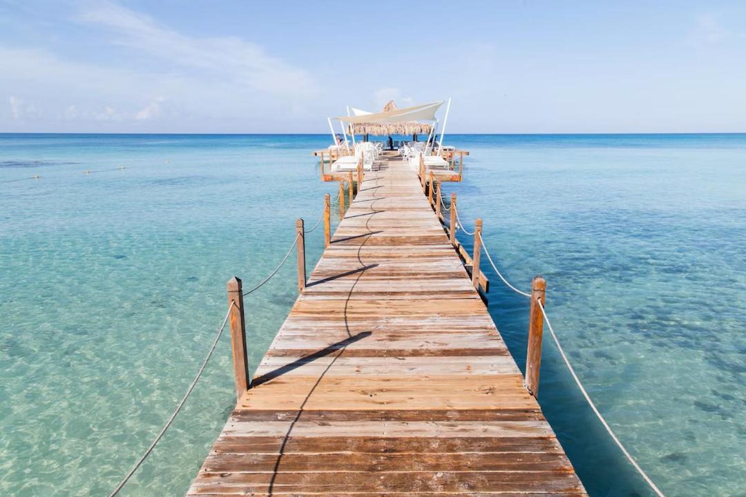 Photo of Others in Dominicus