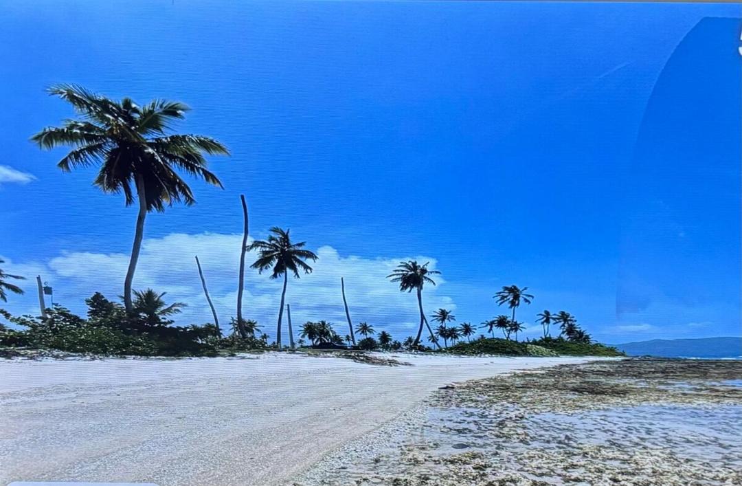 Photo of Others in Las Galeras