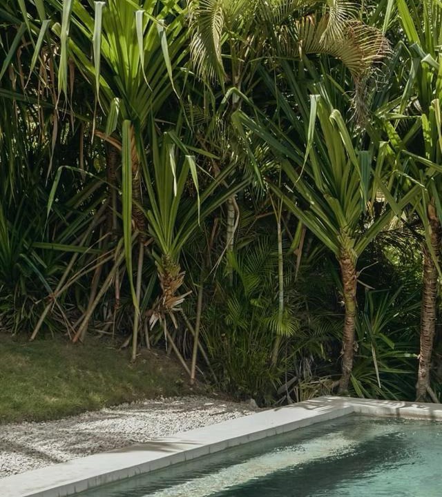Photo of Others in Las Terrenas