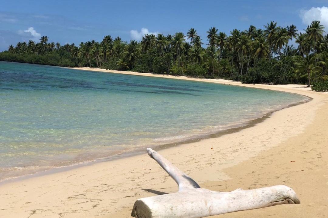 Photo of Others in Las Terrenas