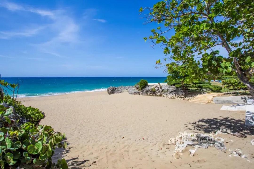 Photo of Others in Playa Chiquita