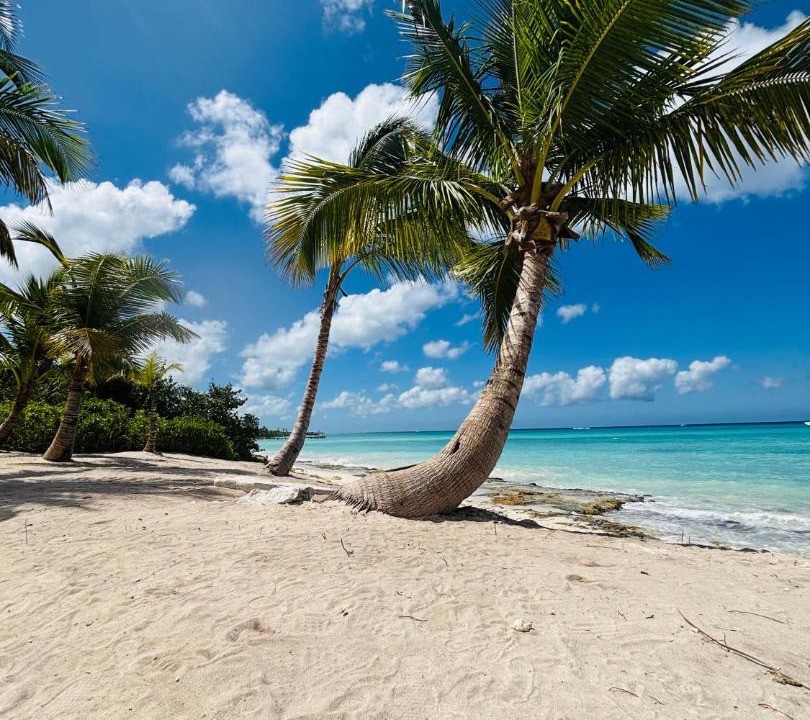 Photo of Others in Dominicus