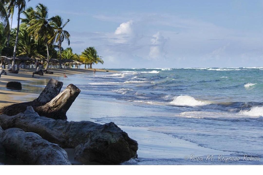 Photo of Others in Nagua