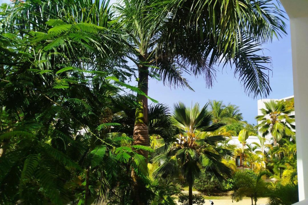 Photo of Others in Dominicus