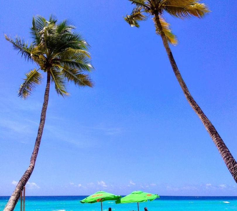 Photo of Others in Dominicus