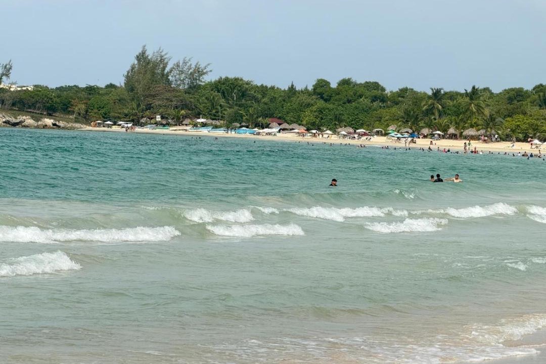 Photo of Others in Playa Bibijagua