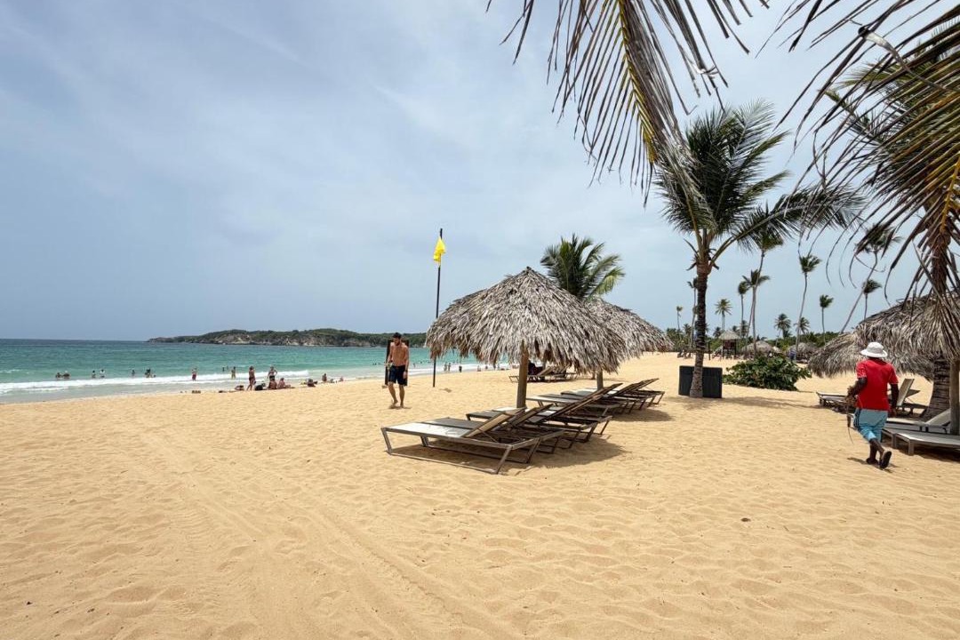 Photo of Others in Playa Bibijagua