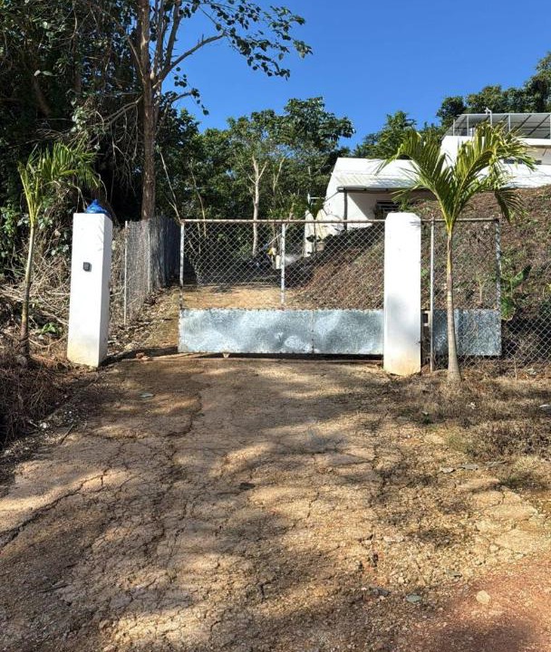 Photo of Others in Las Terrenas