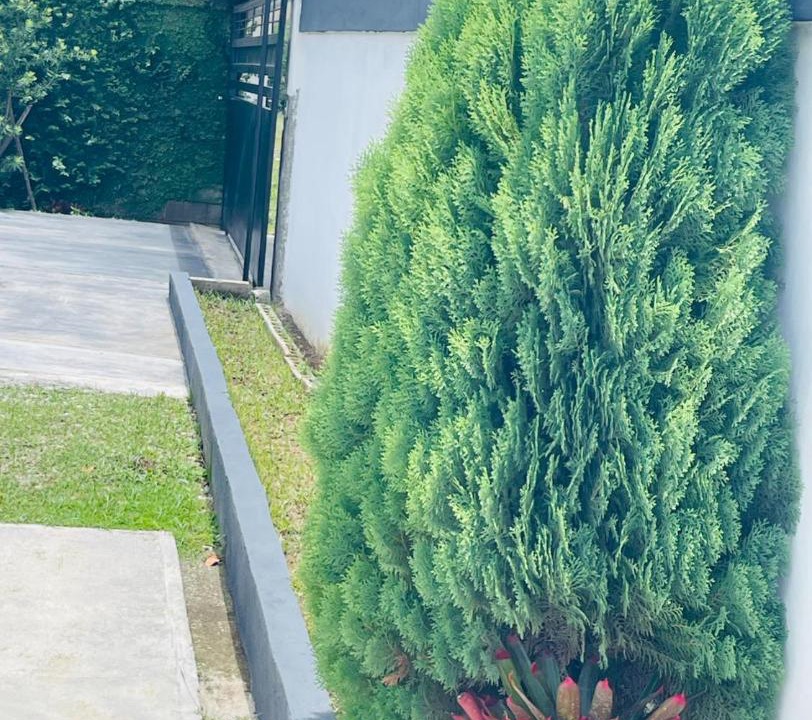 Photo of Outdoor in Nizao