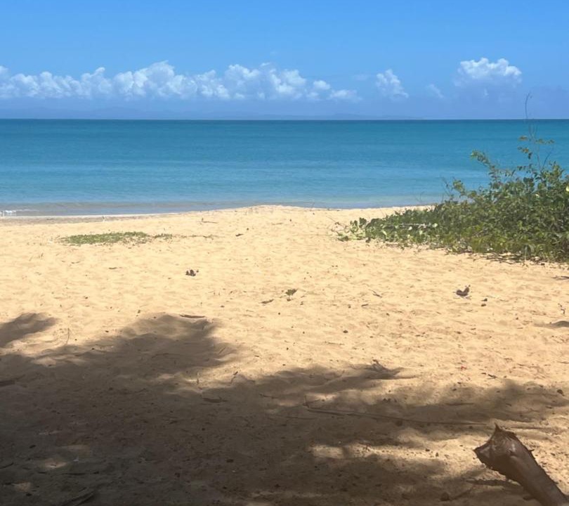 Photo of Others in Playa Bibijagua