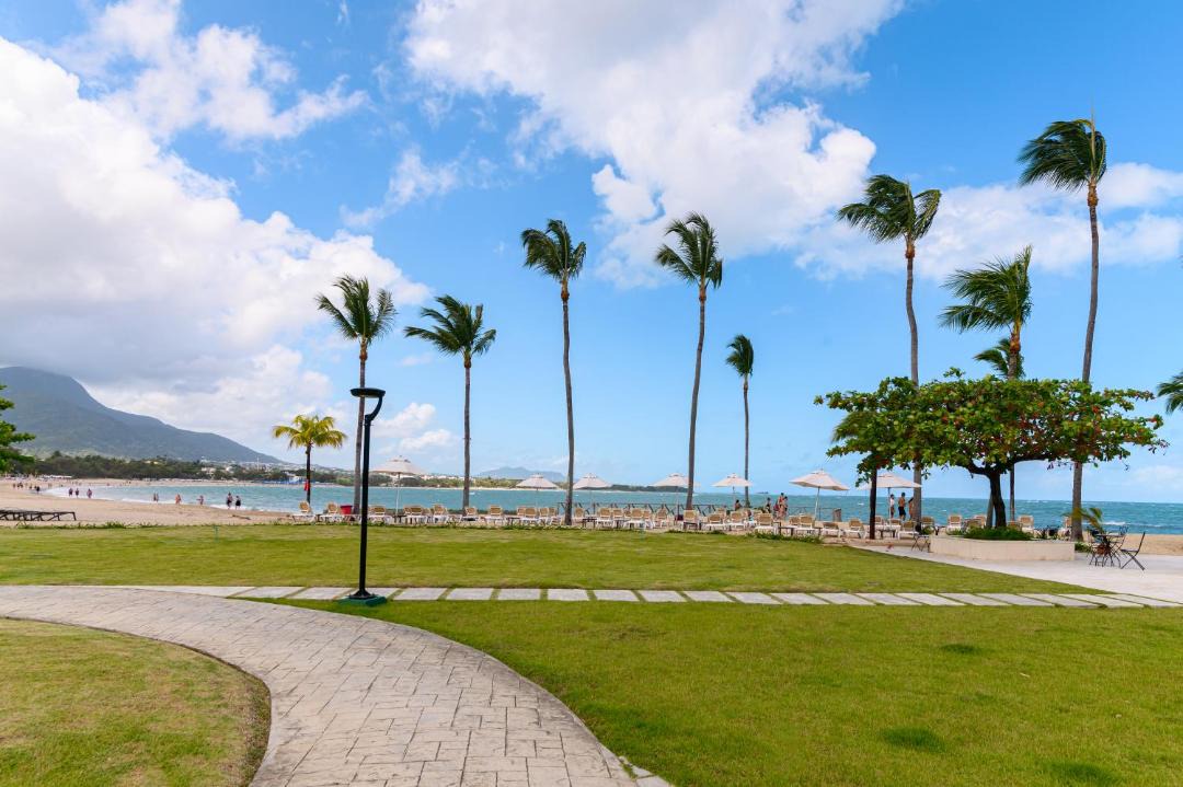 Photo of Others in Puerto Plata
