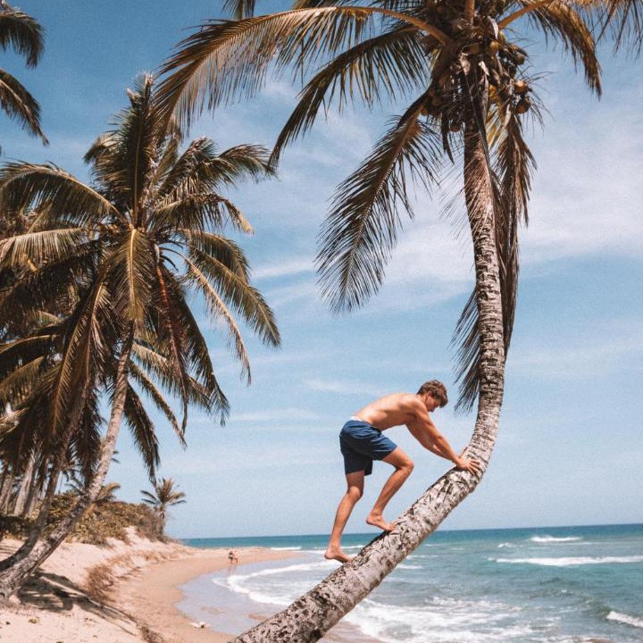 Photo of Others in Cabarete