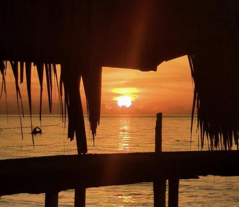 Photo of Others in Puerto Bahia
