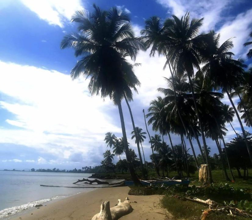 Photo of Others in Puerto Bahia