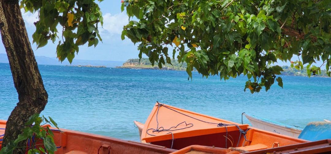 Photo of Others in Las Galeras