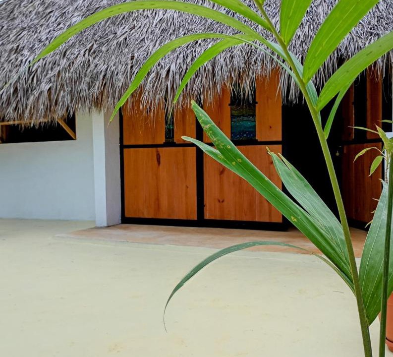 Photo of Others in Las Galeras