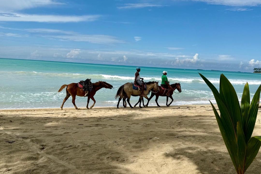 Photo of Others in Las Terrenas