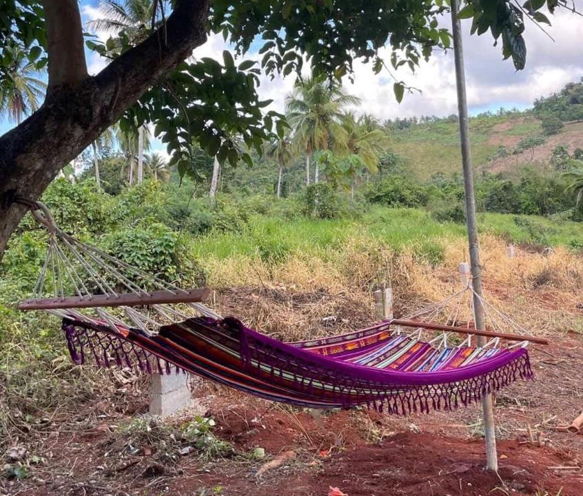 Photo of Others in Samana