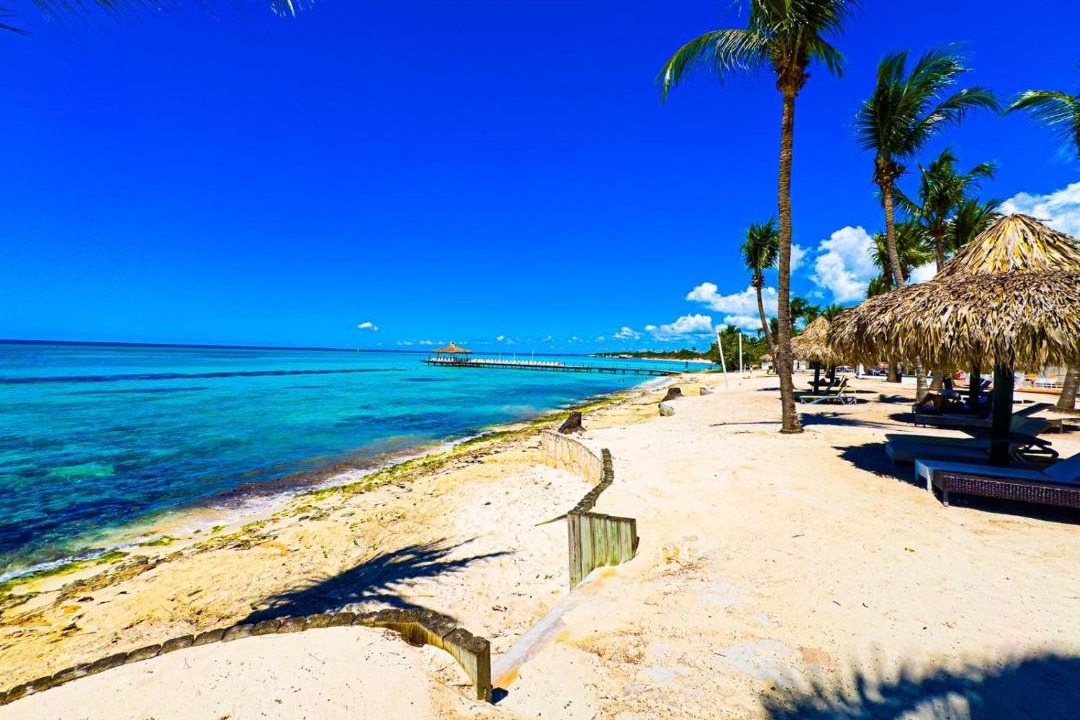 Photo of Others in Dominicus