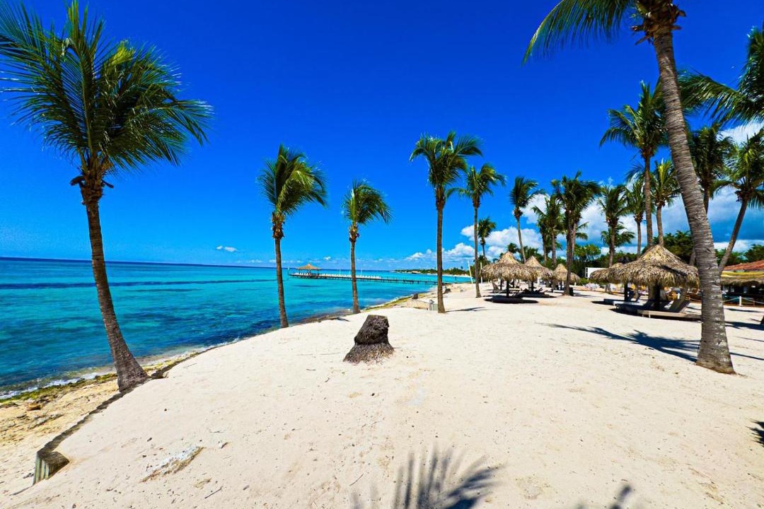 Photo of Others in Dominicus