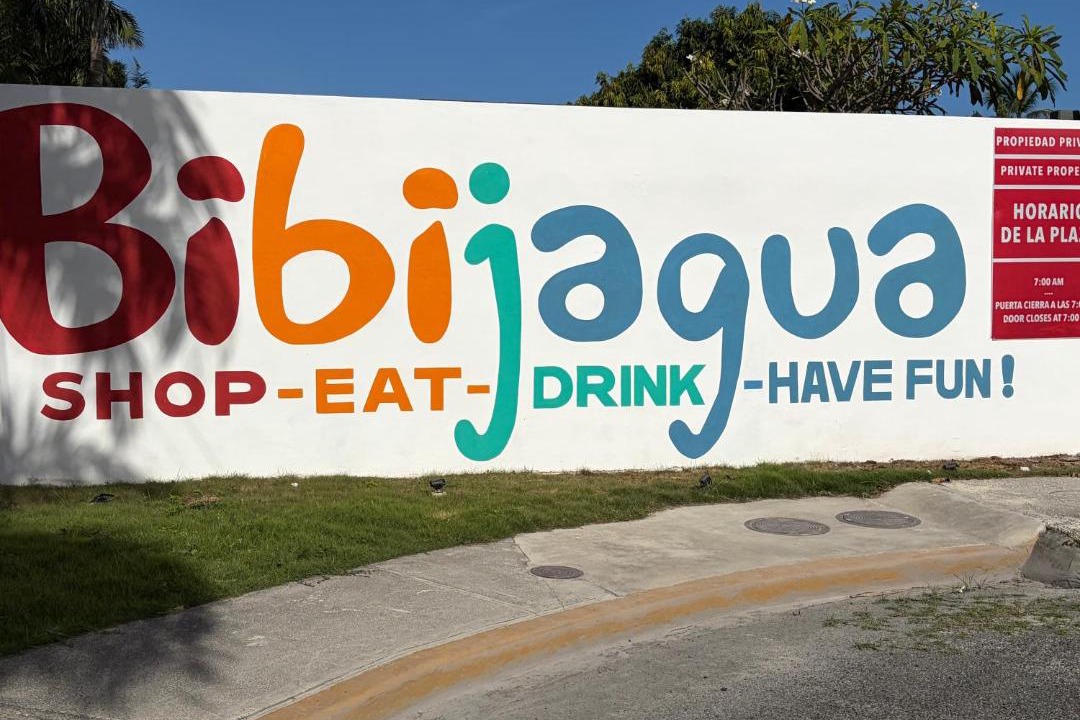 Photo of Others in Playa Bibijagua