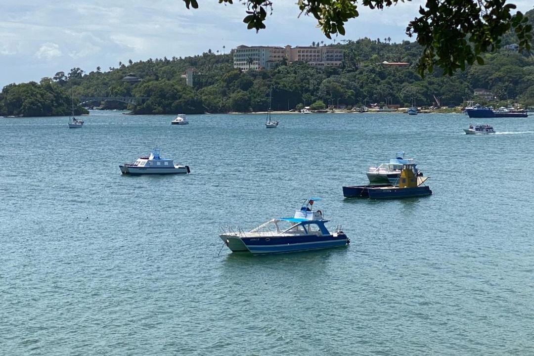 Photo of Others in Las Galeras
