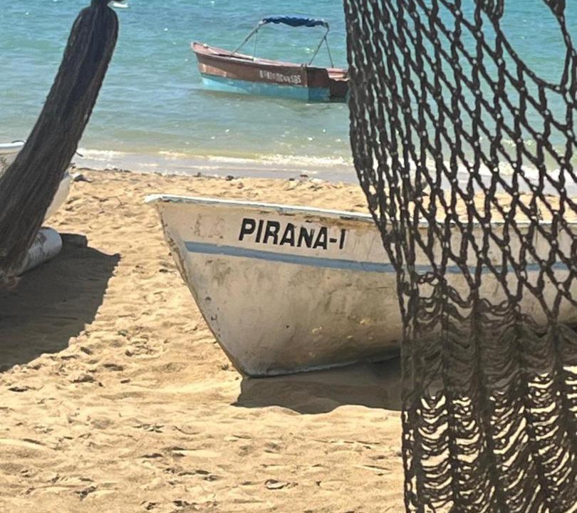 Photo of Others in Las Galeras