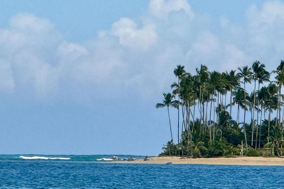 Photo of Others in Las Terrenas