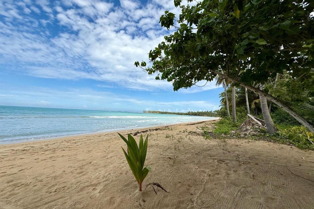 Photo of Others in Las Terrenas