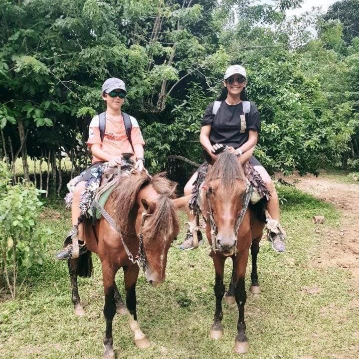 Photo of Others in Las Galeras